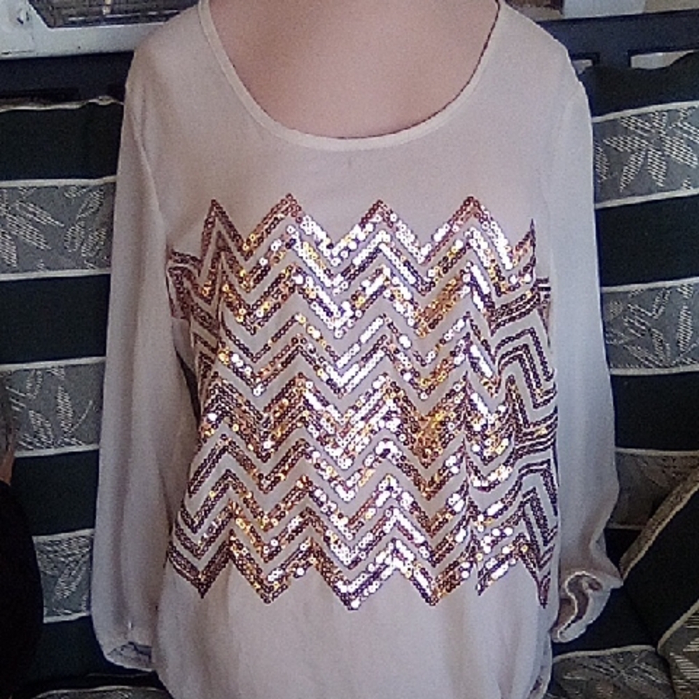 Rue 21 Ultra Sheer Blouse With Bronze Metallic Decorations. Size S
